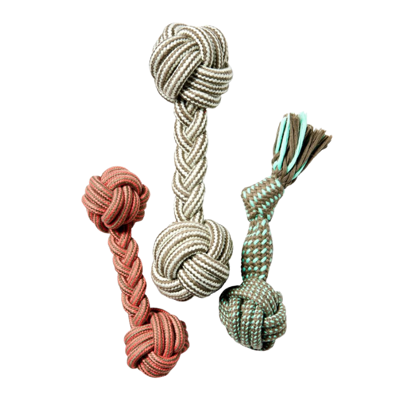Toy